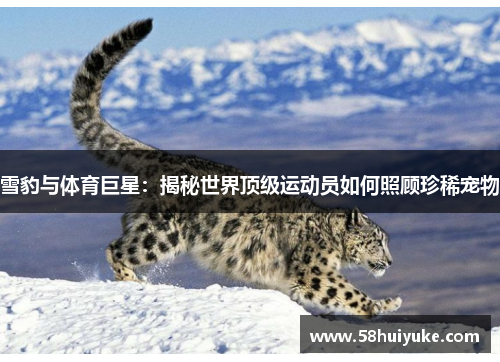 雪豹与体育巨星：揭秘世界顶级运动员如何照顾珍稀宠物